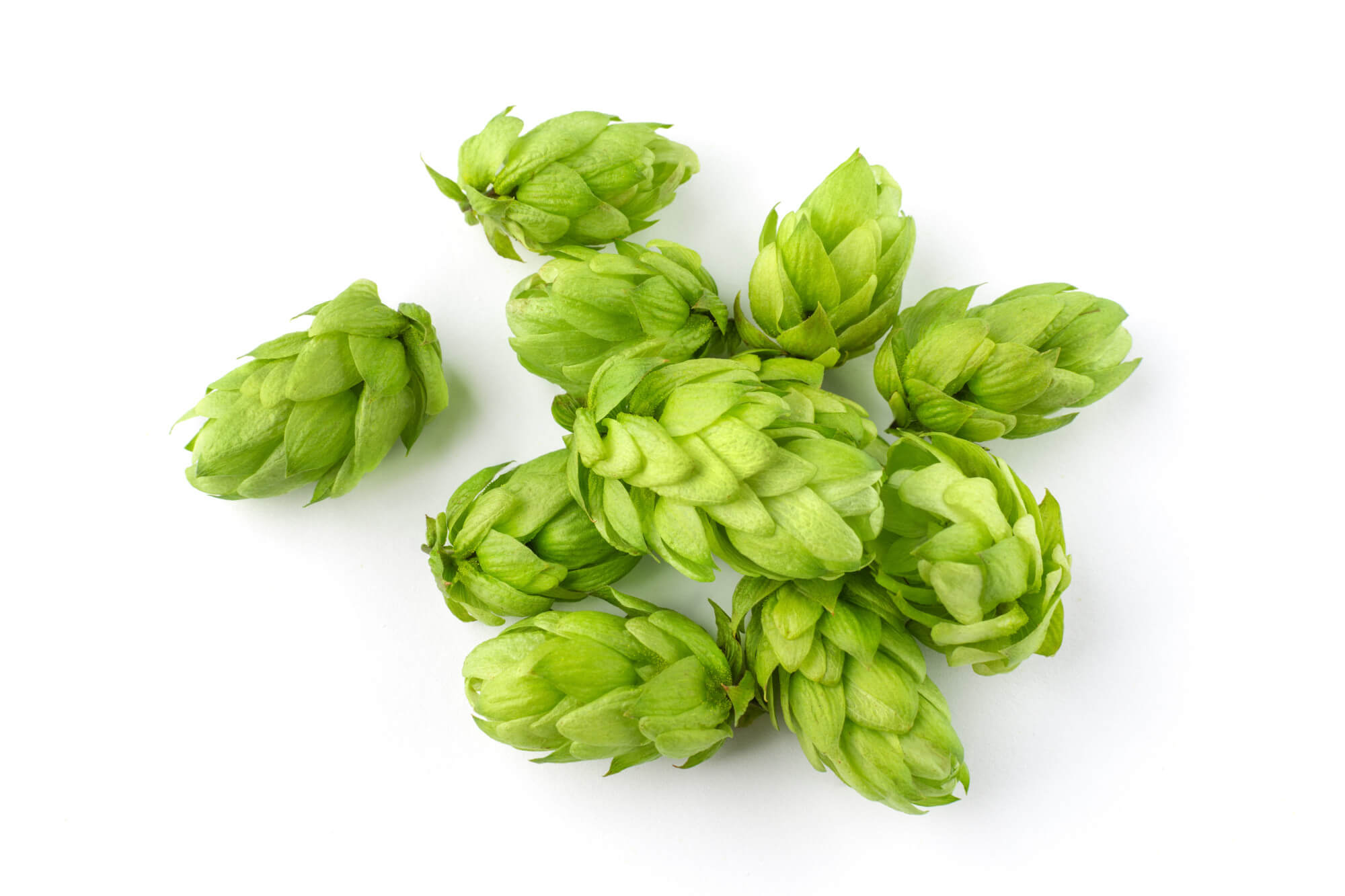 hopextract[2].jpg